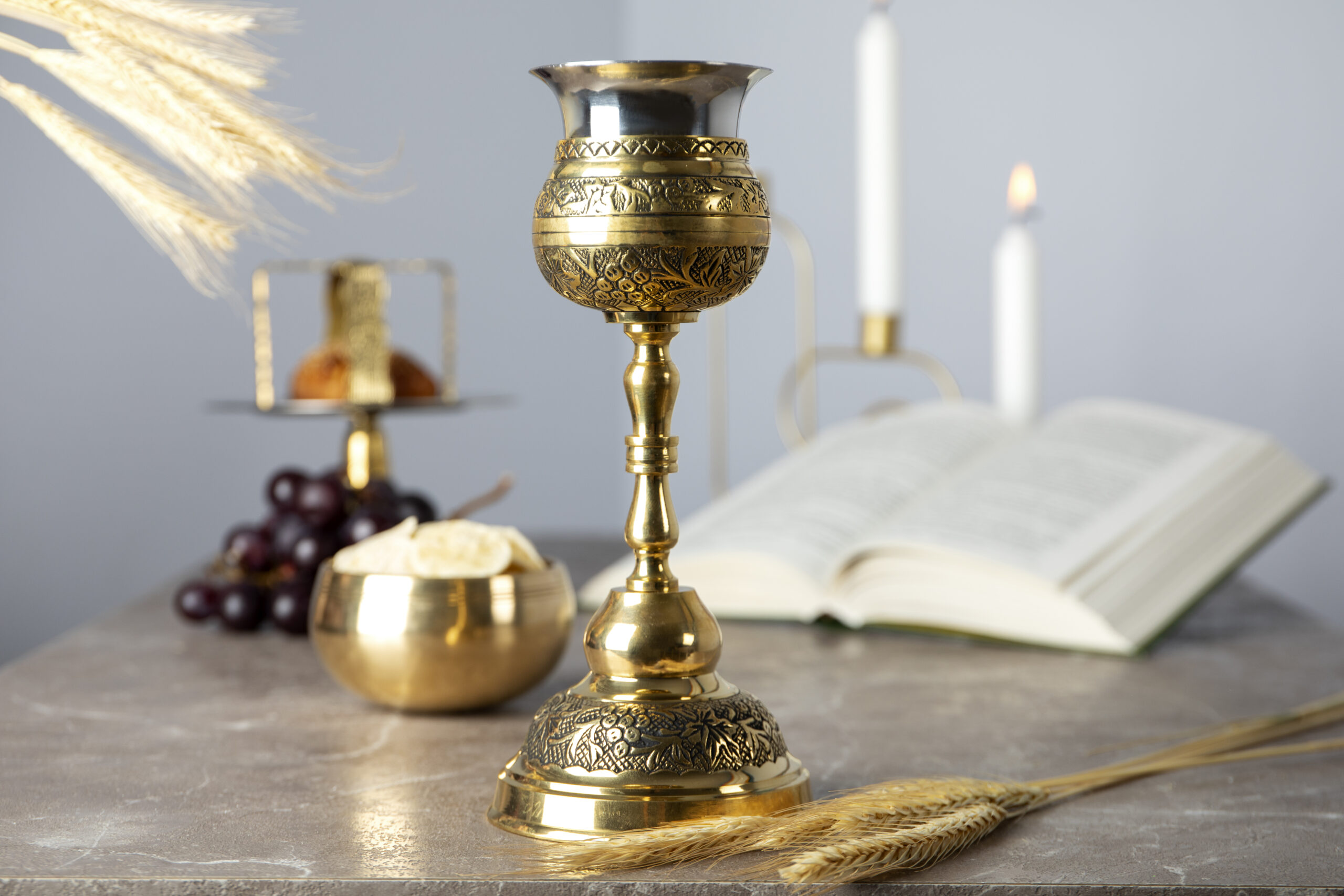 eucharist-celebration-with-chalice-book eucharist-celebration-with-chalice-book